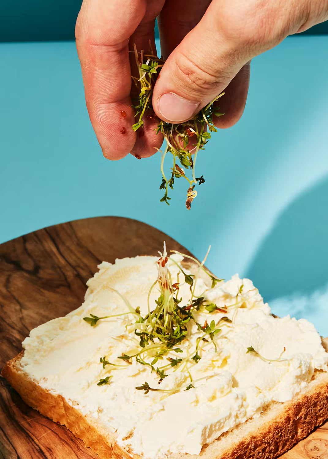Bio Kressesamen 1Kg
