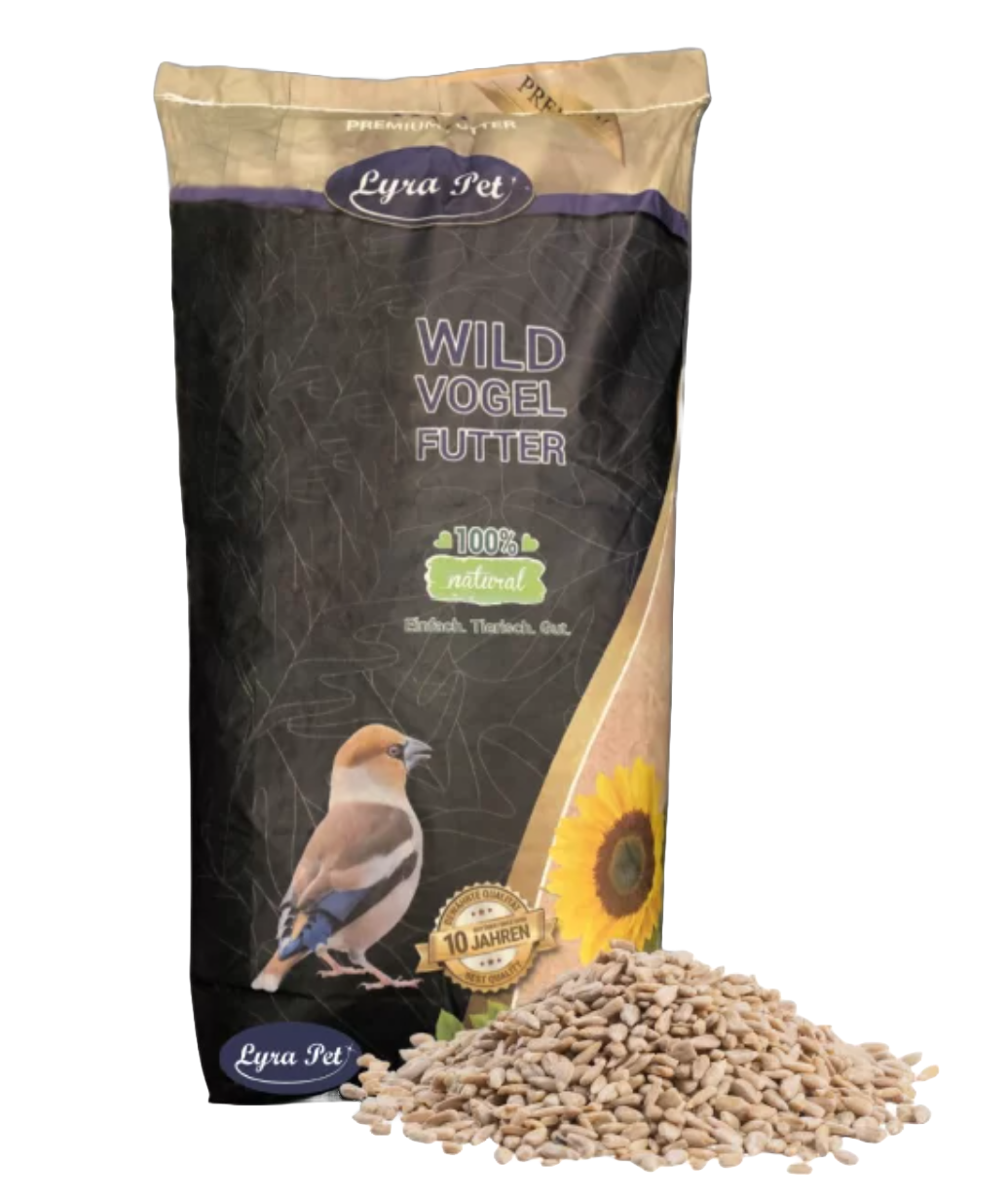 Sonneblumenkerne geschält BRUCH - 10Kg