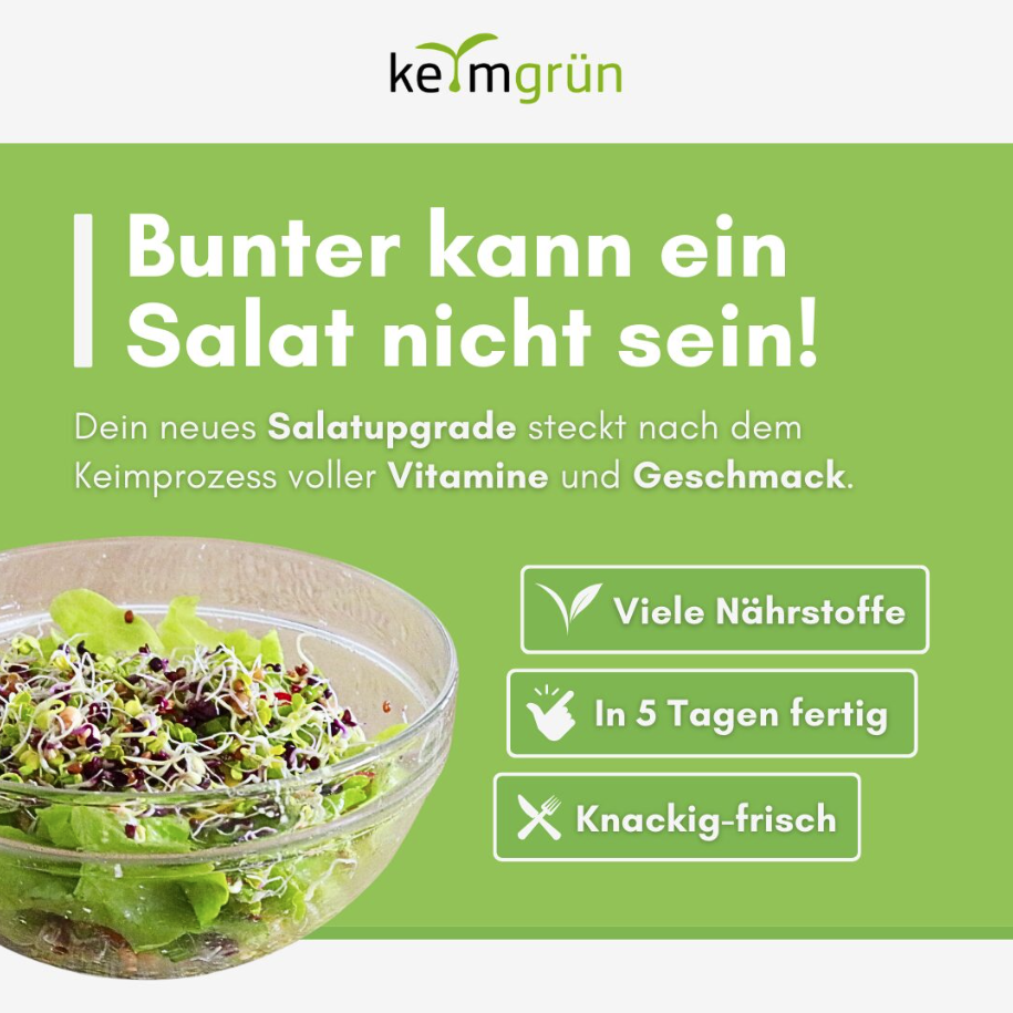 Keimgrün Salat - Bio-Sprossenmix