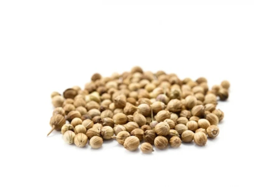 Bio Koriander Samen - Perfekt für Microgreen Anzucht 250g