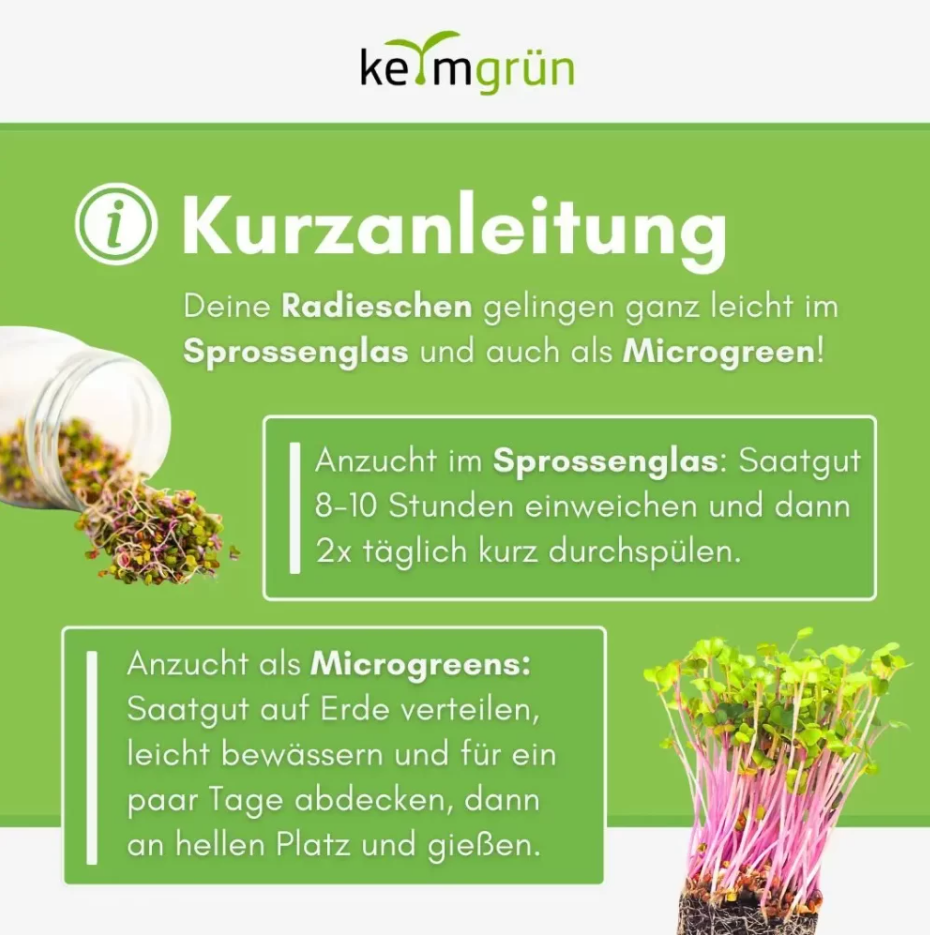 Bio Radieschen - Keimsaat