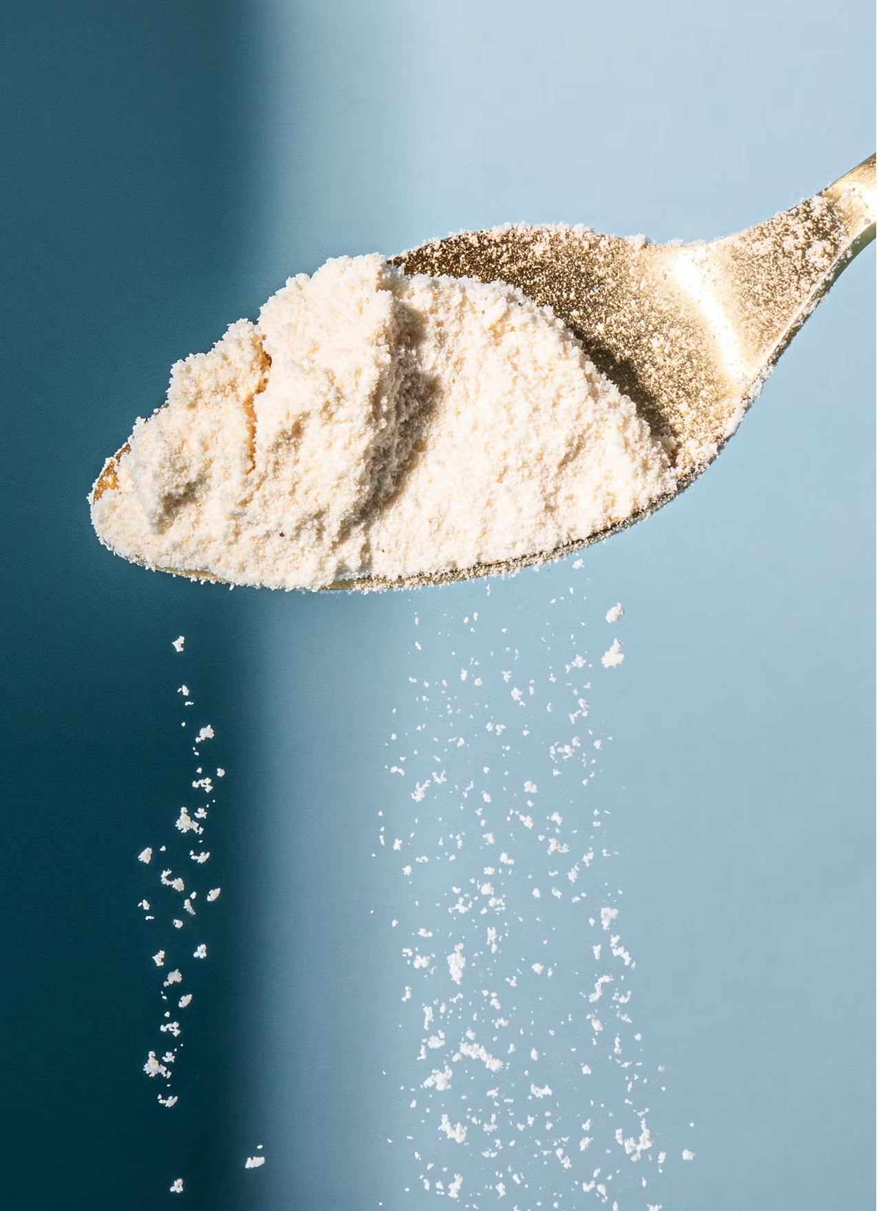 Bio Kokosmehl 1Kg