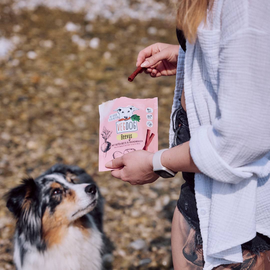 VegDog Beevys 80 g