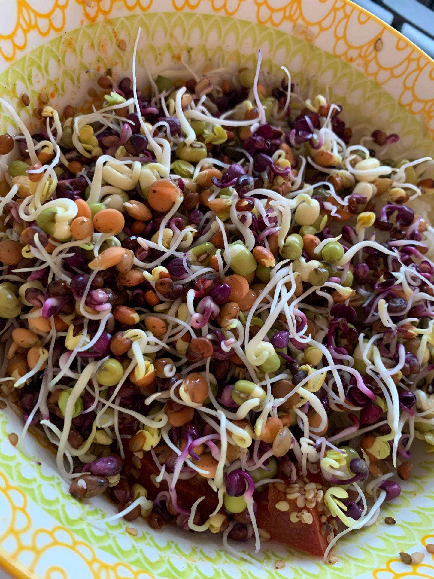 Keimgrün Salat  - Bio-Sprossenmix
