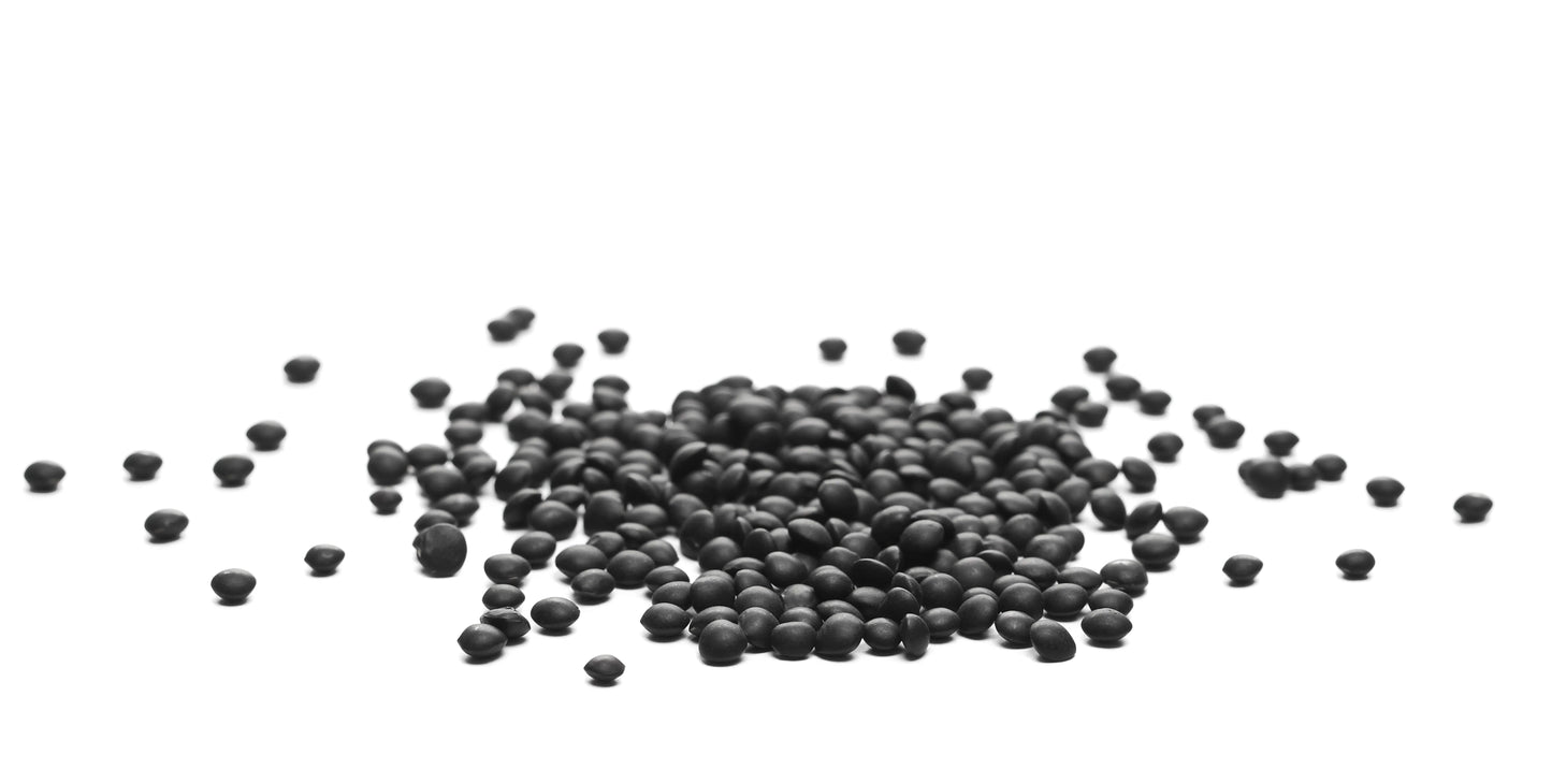 Bio Beluga-Linsen Sprossen – Keimsaat für Microgreens & Keimglas 500g