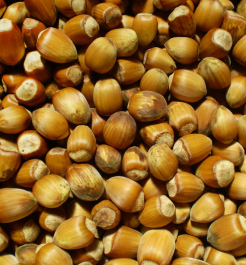 Haselnüsse 1Kg