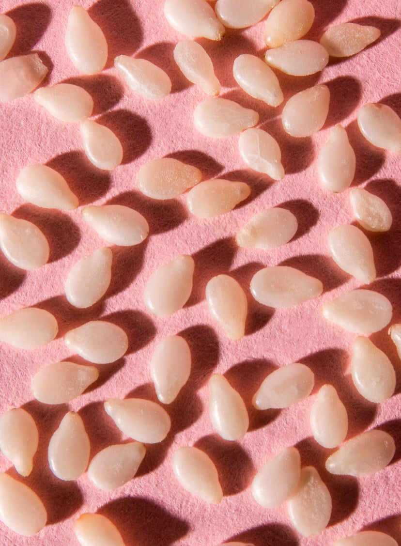 Ungeschälter Bio Sesam 1,0 Kg