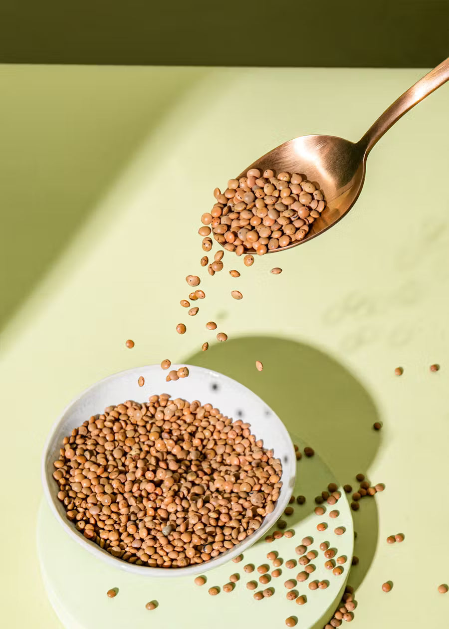 Braune Bio Linsen 2 kg