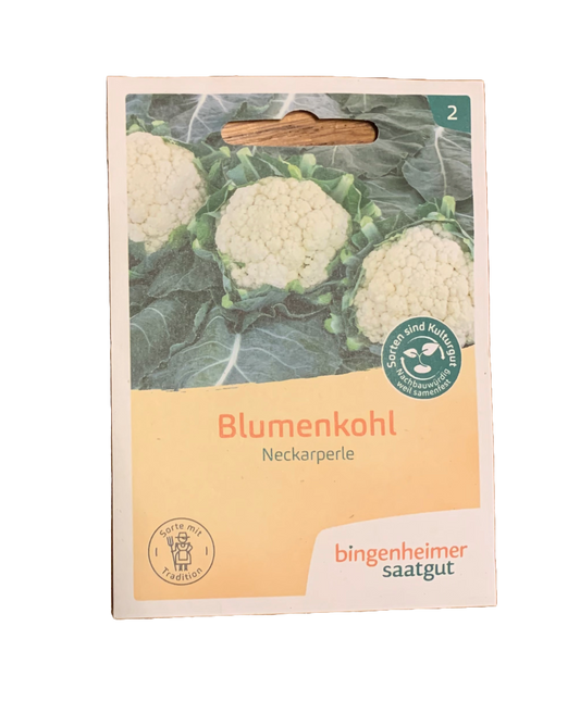Blumenkohl "Neckarperle" - Bingenheimer Saatgut