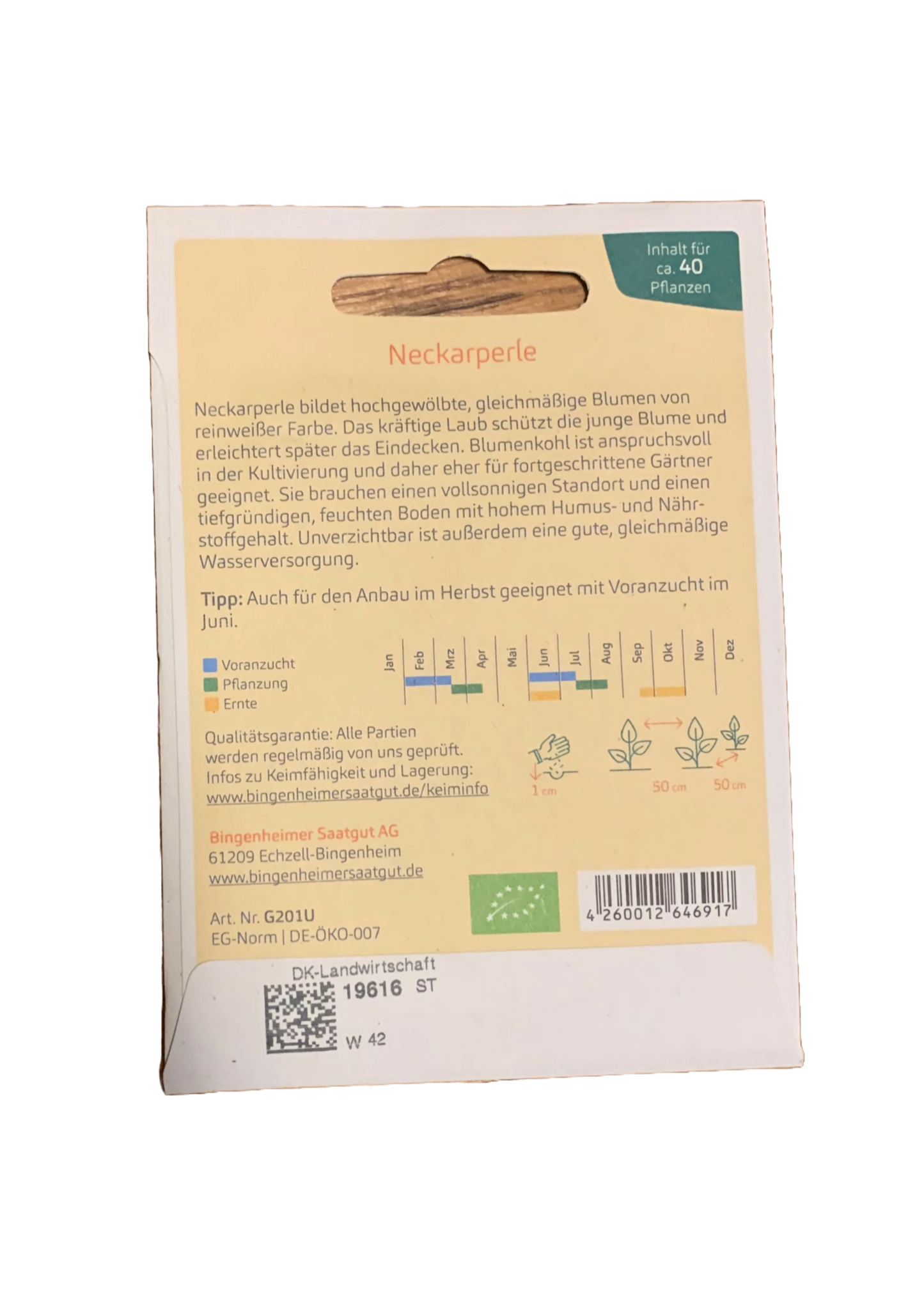Blumenkohl "Neckarperle" - Bingenheimer Saatgut
