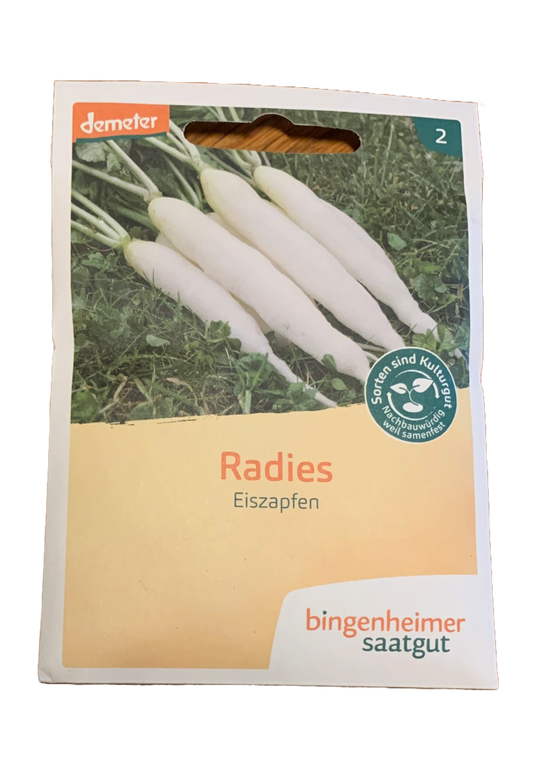 Radies "Eiszapfen" - Bingenheimer Saatgut - Demeter