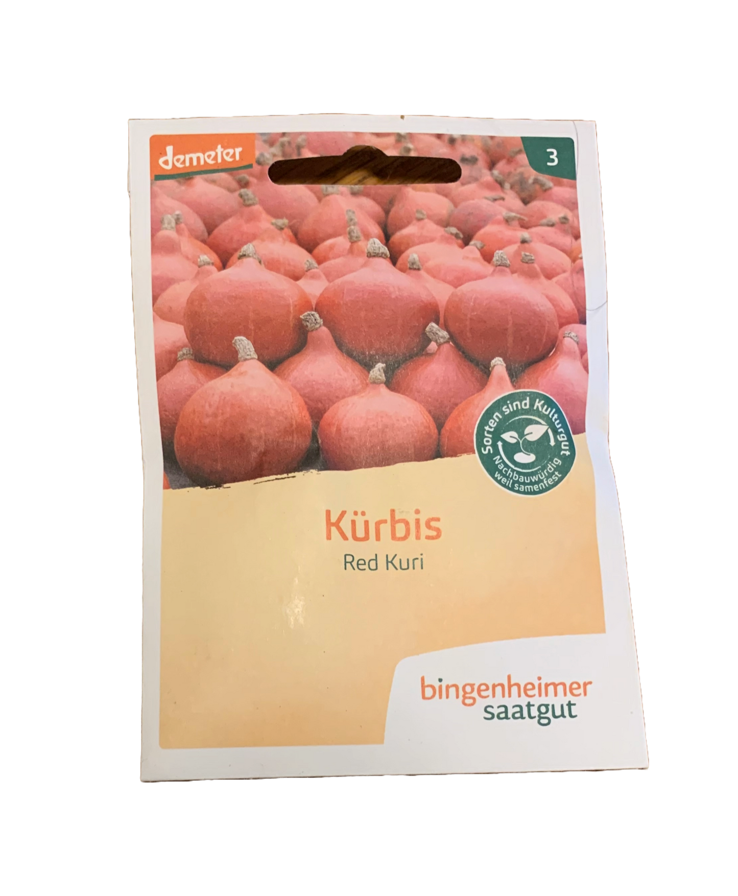 Kürbis "Red Kuri" - Bingenheimer Saatgut - Demeter