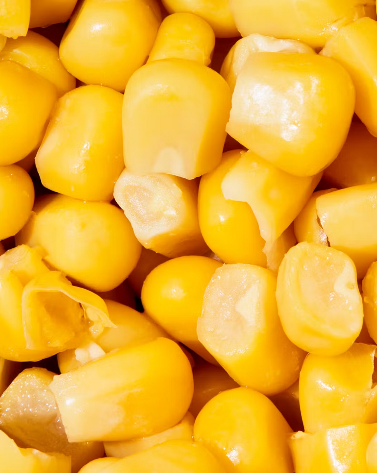 Bio Mais in der Dose 140 g