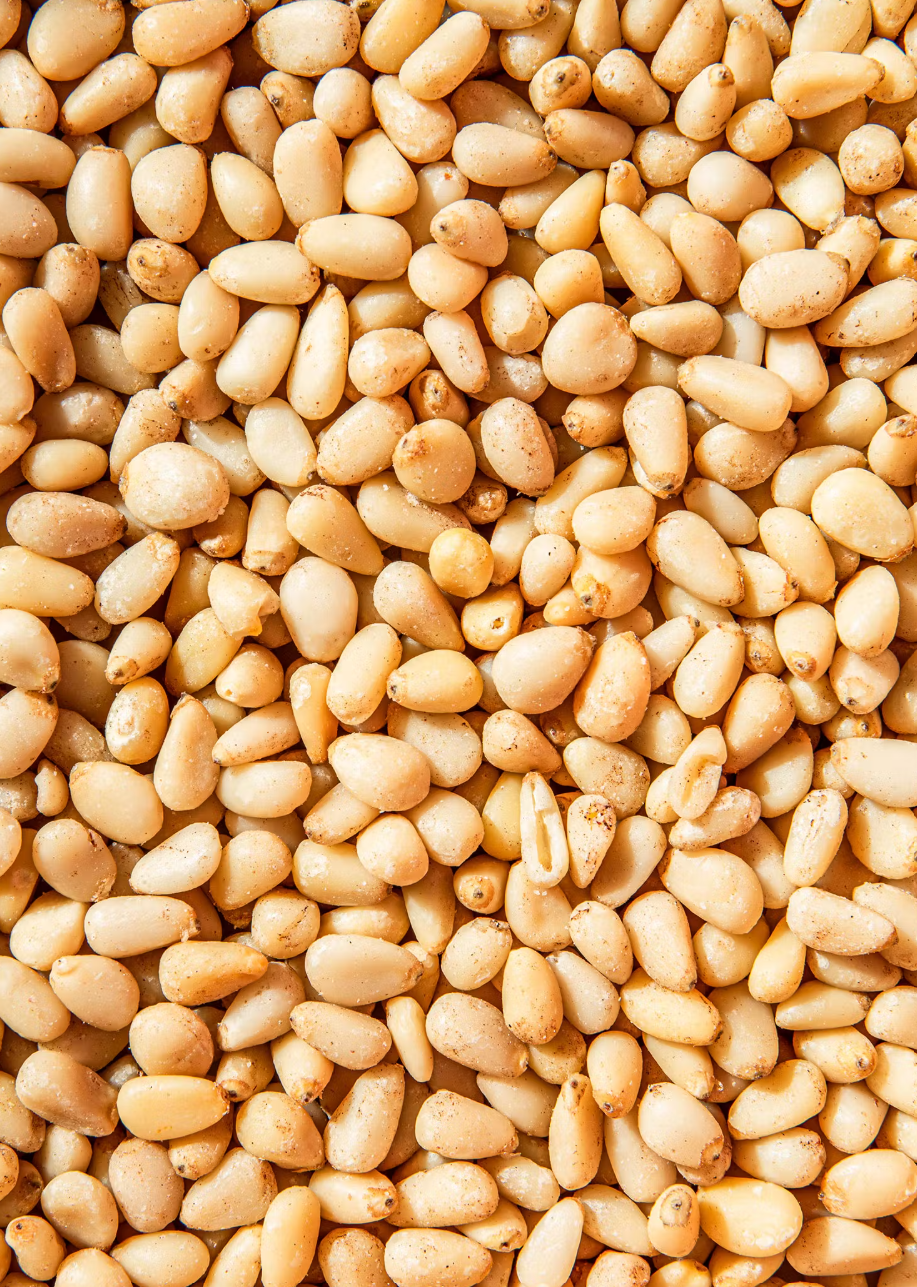 Bio Pinienkerne 500g