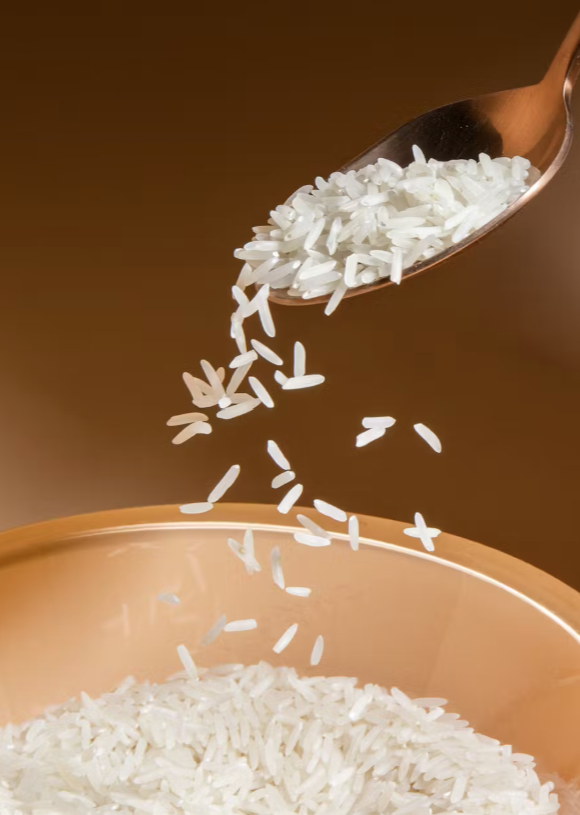 Weisser Bio Basmati Reis 5Kg