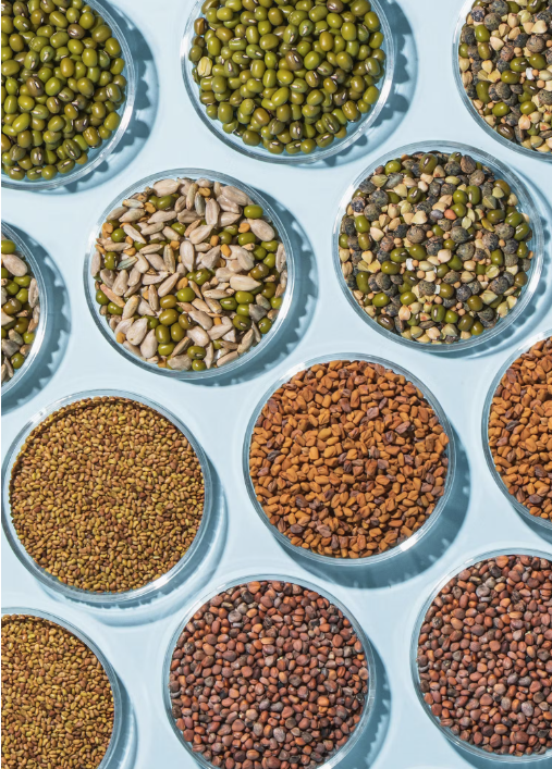 Bio Sprossenmix mit 9 Saatensorten