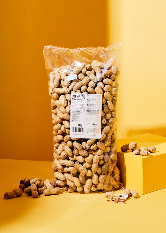 Bio Erdnüsse mit Schale 1 kg