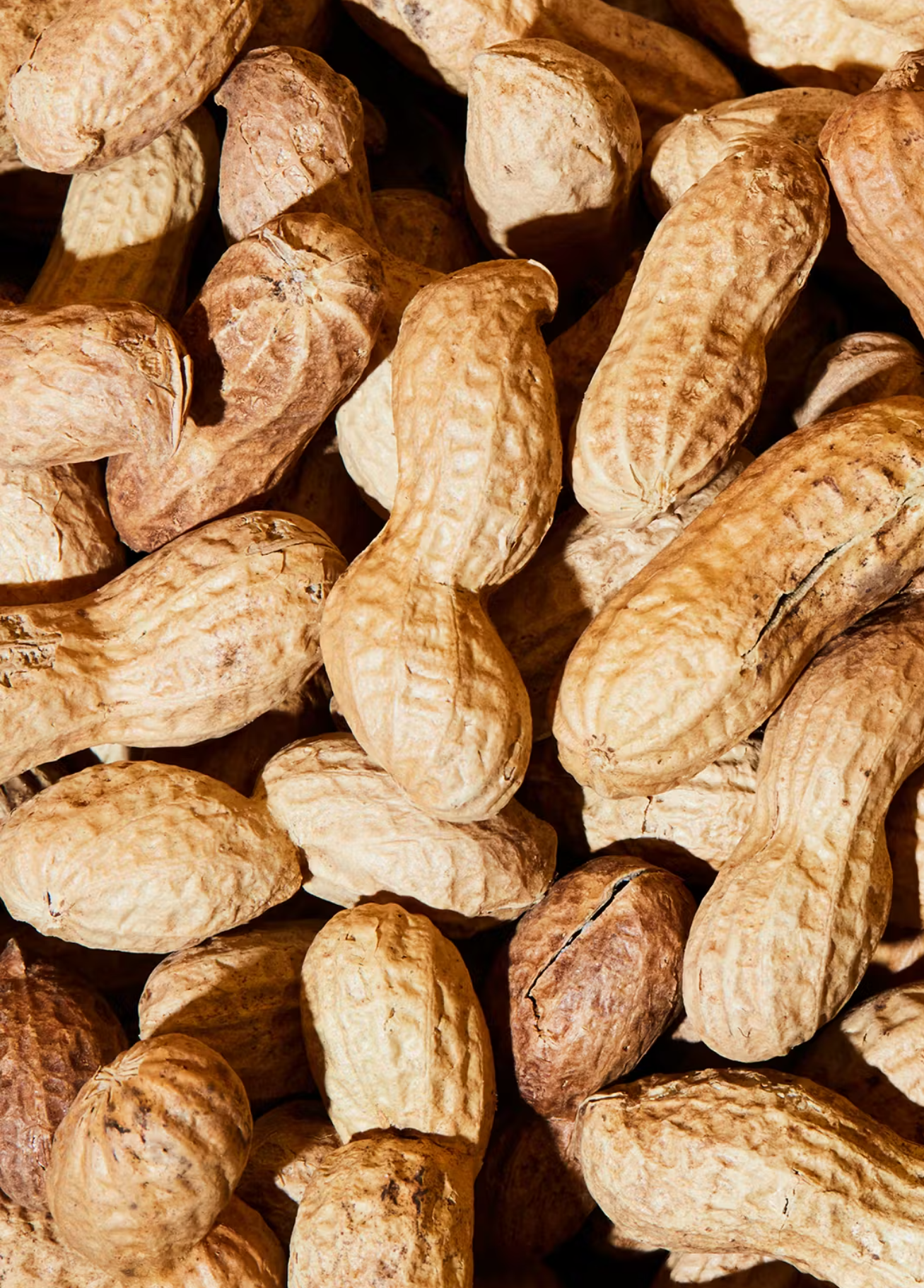 Bio Erdnüsse mit Schale 1 kg
