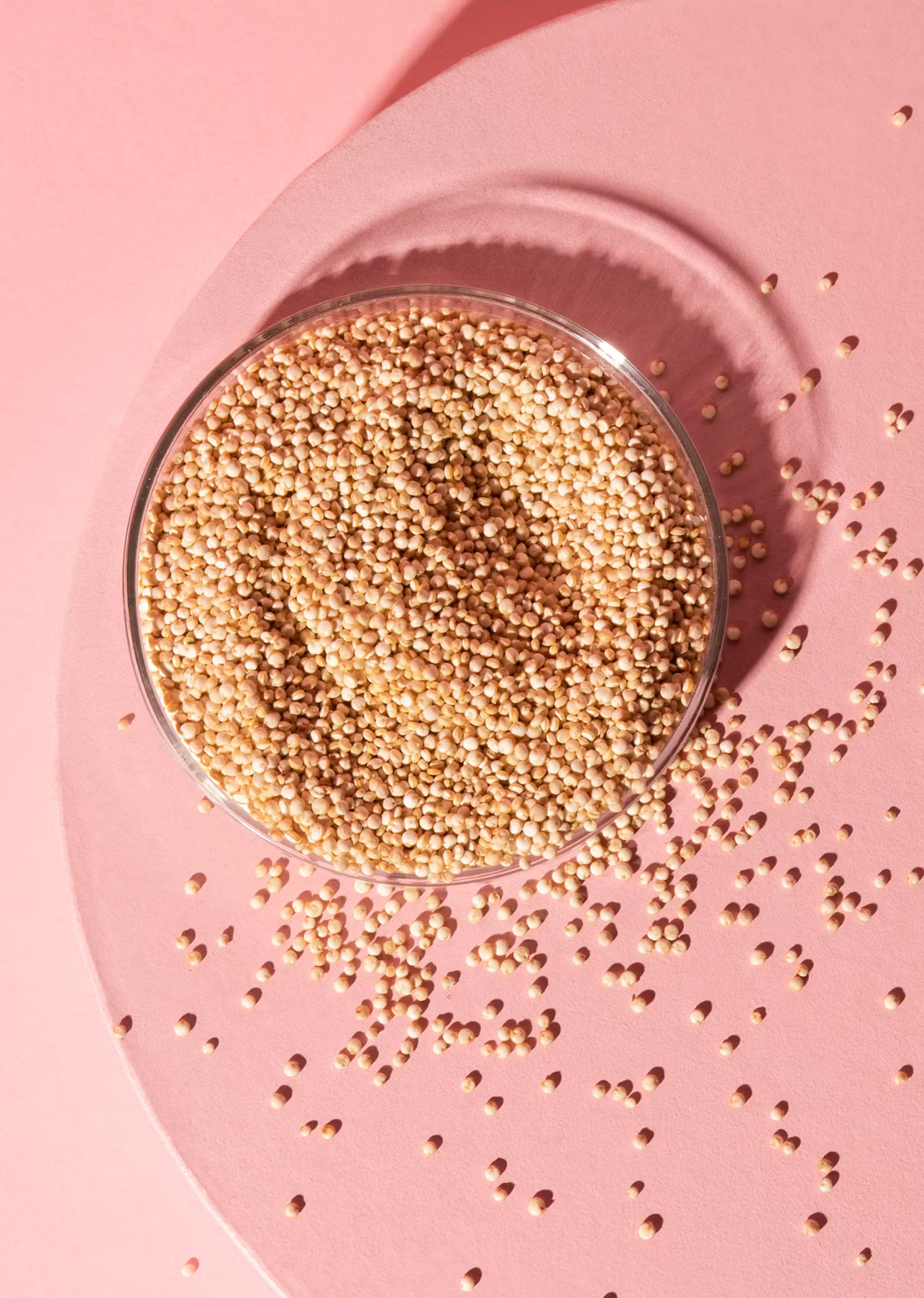 Bio Quinoa weiss 2 kg