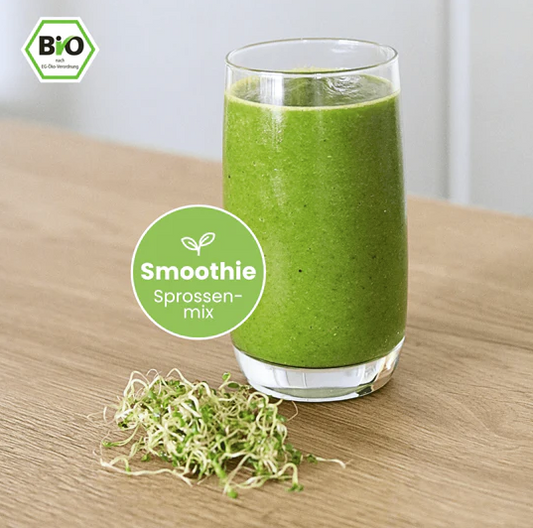 Keimgrün Smoothie - Bio-Sprossenmix