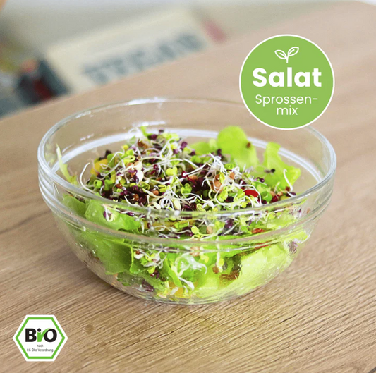 Keimgrün Salat  - Bio-Sprossenmix