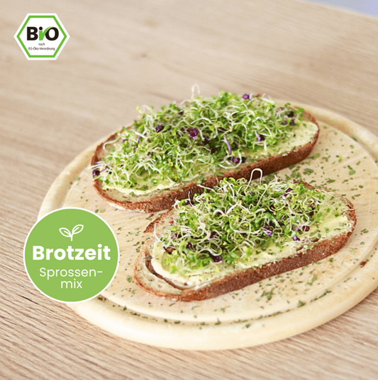 Keimgrün Brotzeit - Bio-Sprossenmix
