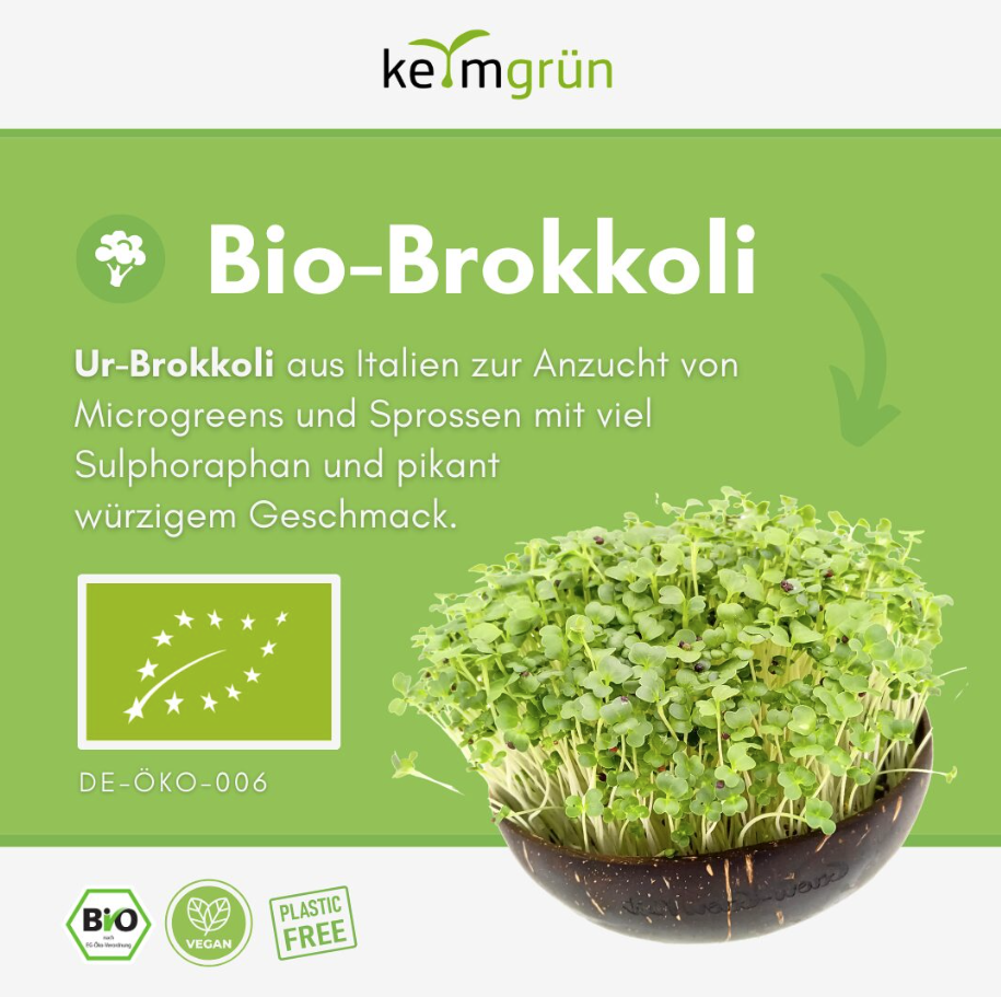 Bio Brokkoli - Keimsaat