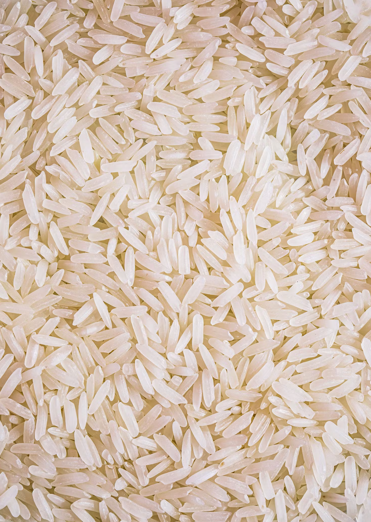 Bio Jasminreis 5 kg