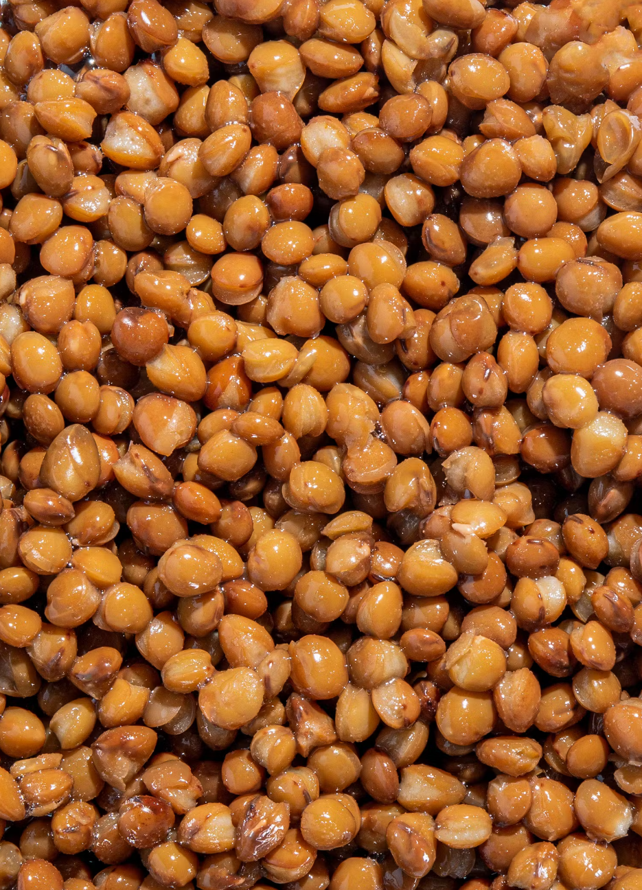 Braune Bio Linsen in der Dose 240 g